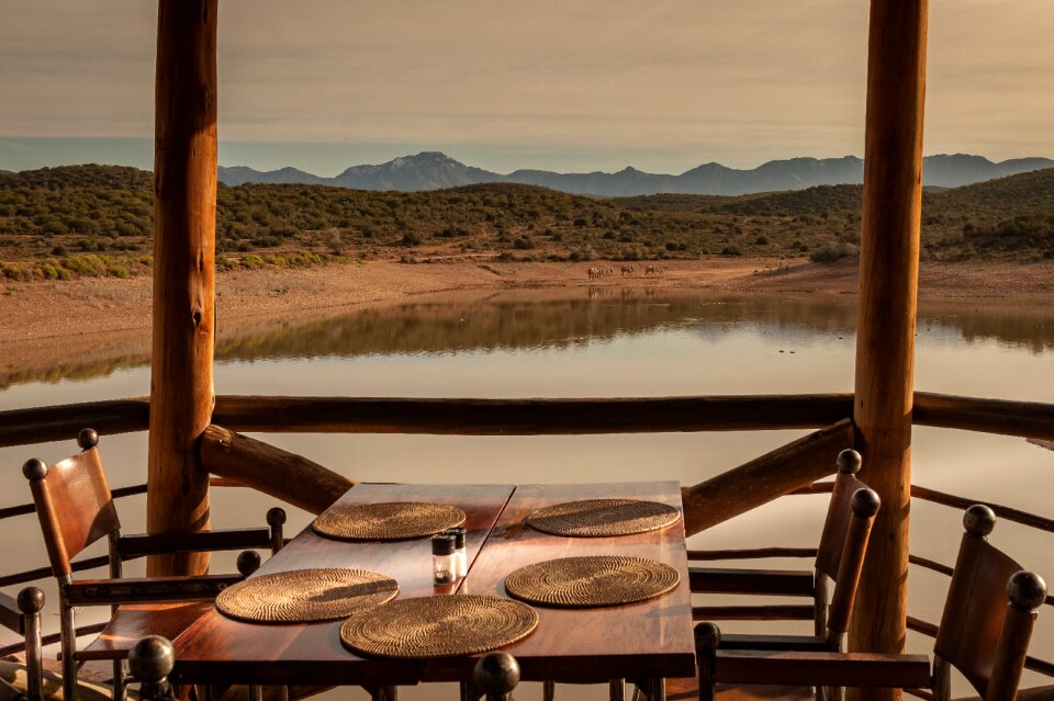 Dinner elephant outlook