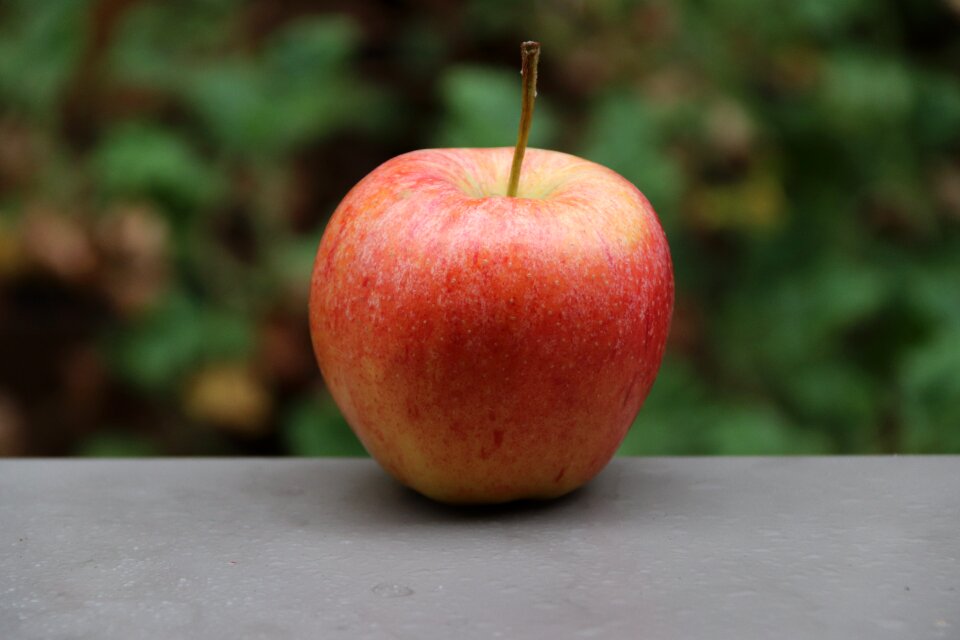 Autumn delicious vitamins