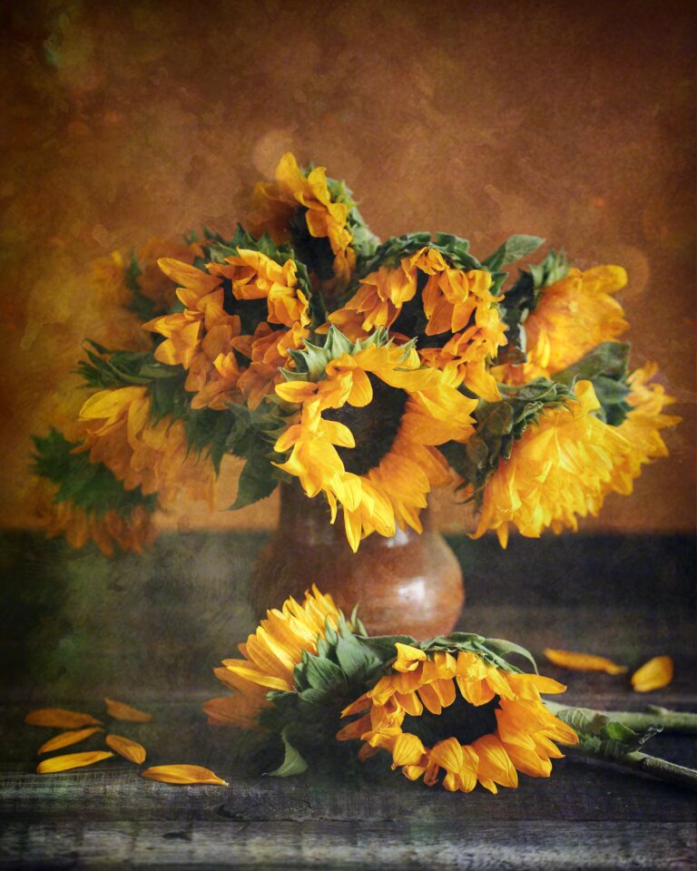 Summer field plant