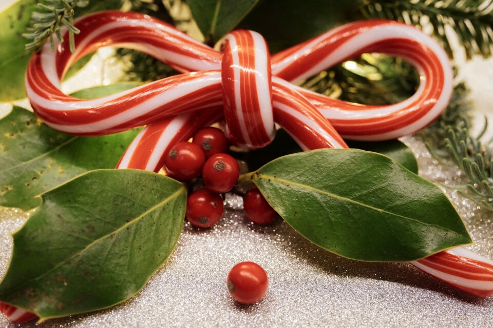 Christmas decoration advent decorative