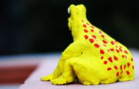 Crafts toad tlapa de comonfort