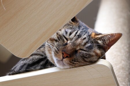 And sleep hybrid