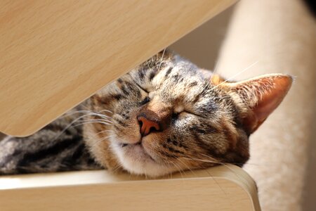 And sleep hybrid
