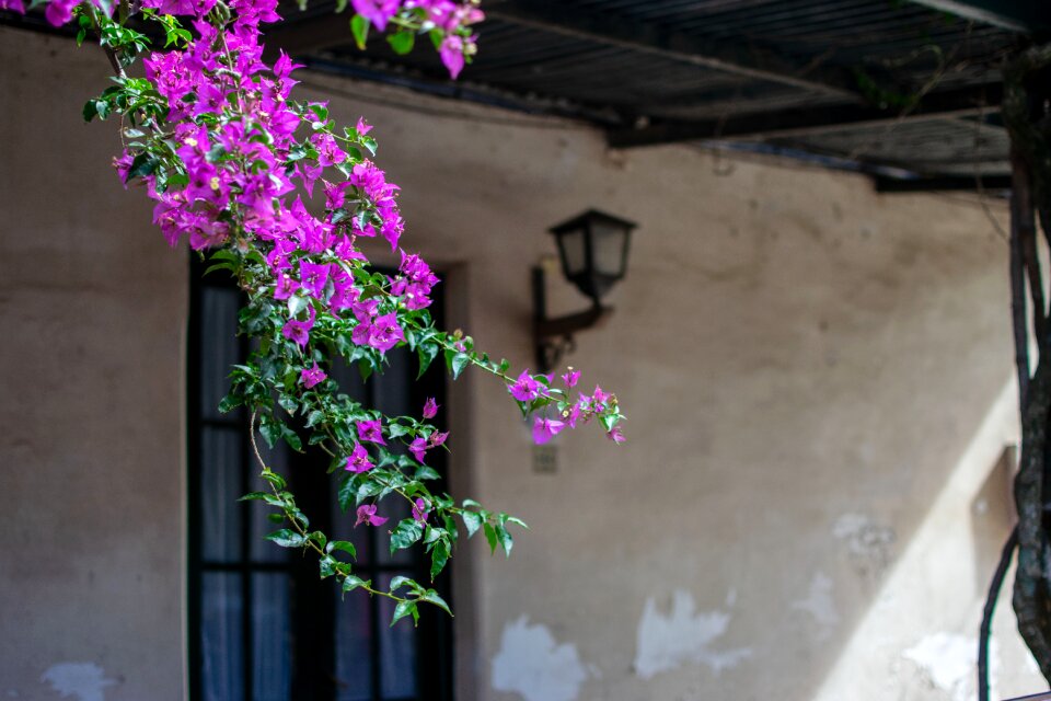 Hauswand colonia uruguay