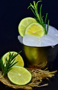 Citrus fruits frozen ice cold photo