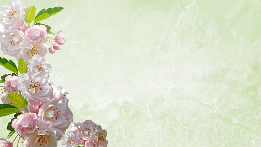 Pink flowers decoration