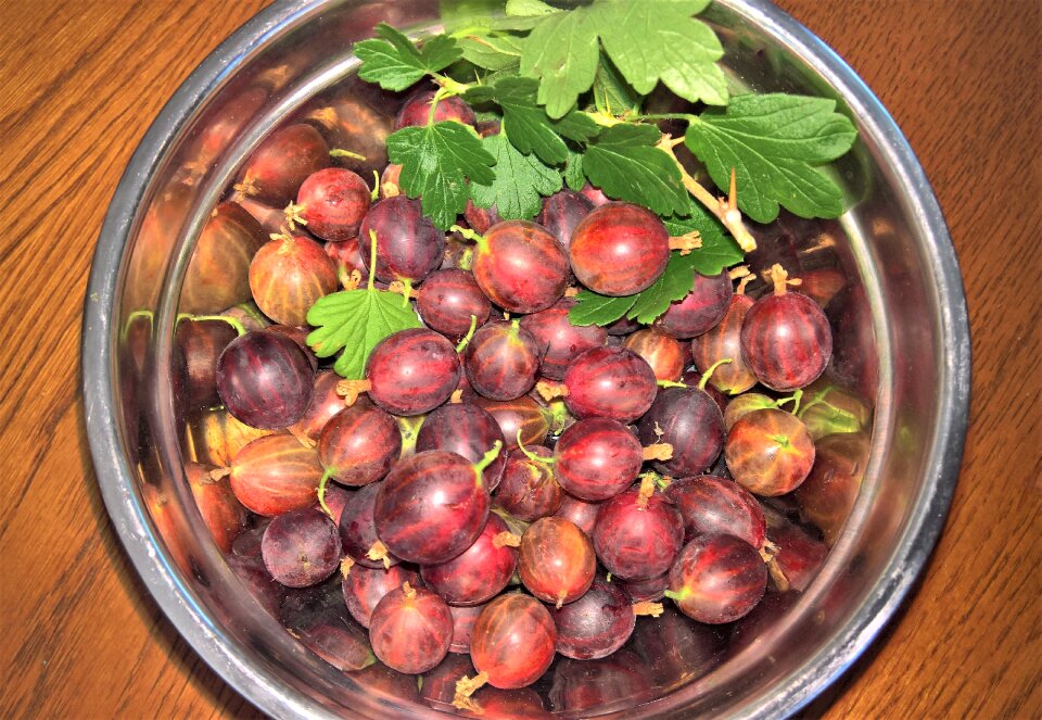 Shell harvested bush