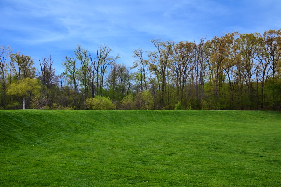 Panoramic nature spring