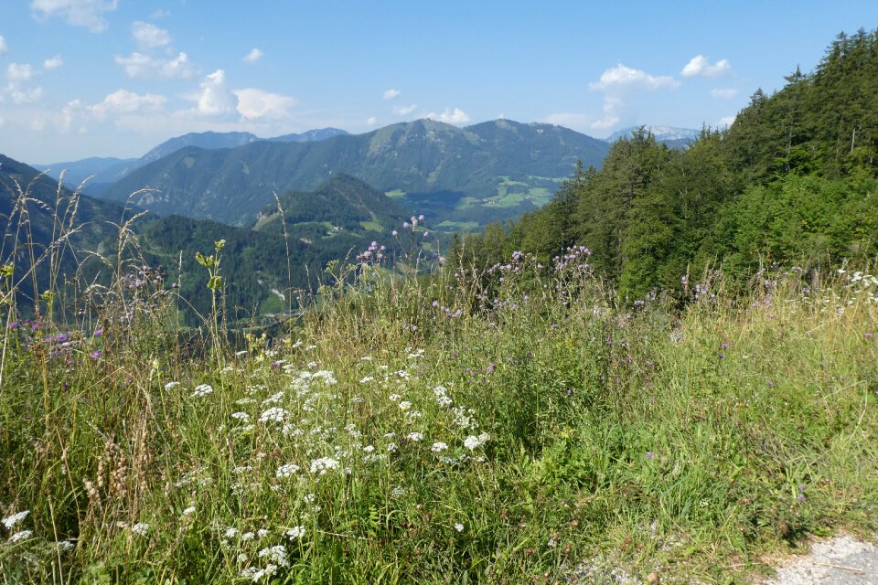 Landscape alpine panorama