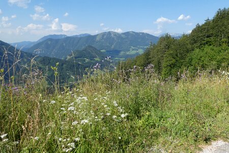 Landscape alpine panorama photo