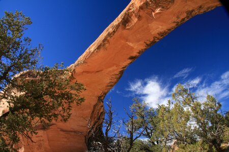 Utah wilderness 3 bridges