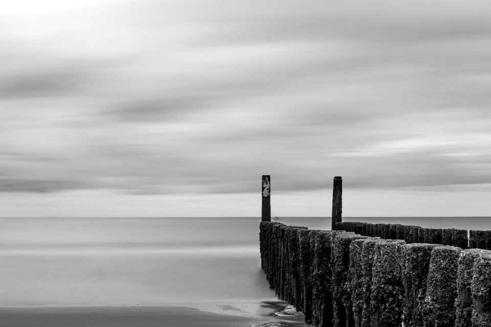 Nature coast landscape