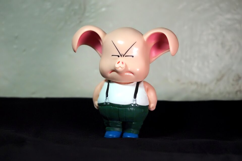 Animal domesticated toy