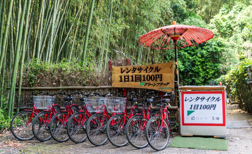 Tourism kyoto travel