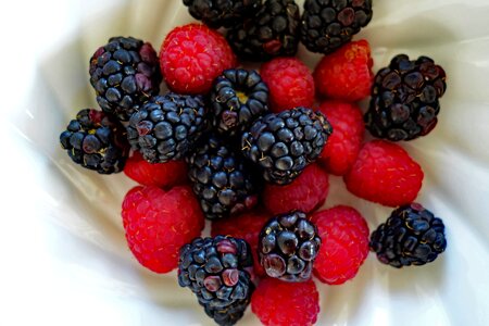 Raspberries berries blackberry photo