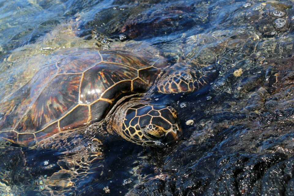 Sea water close-up