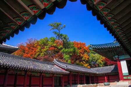 Republic of korea traditional palaces photo