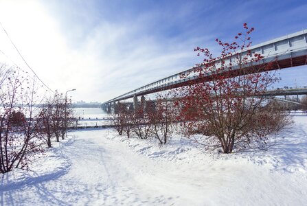 Snow municipal novosibirsk photo