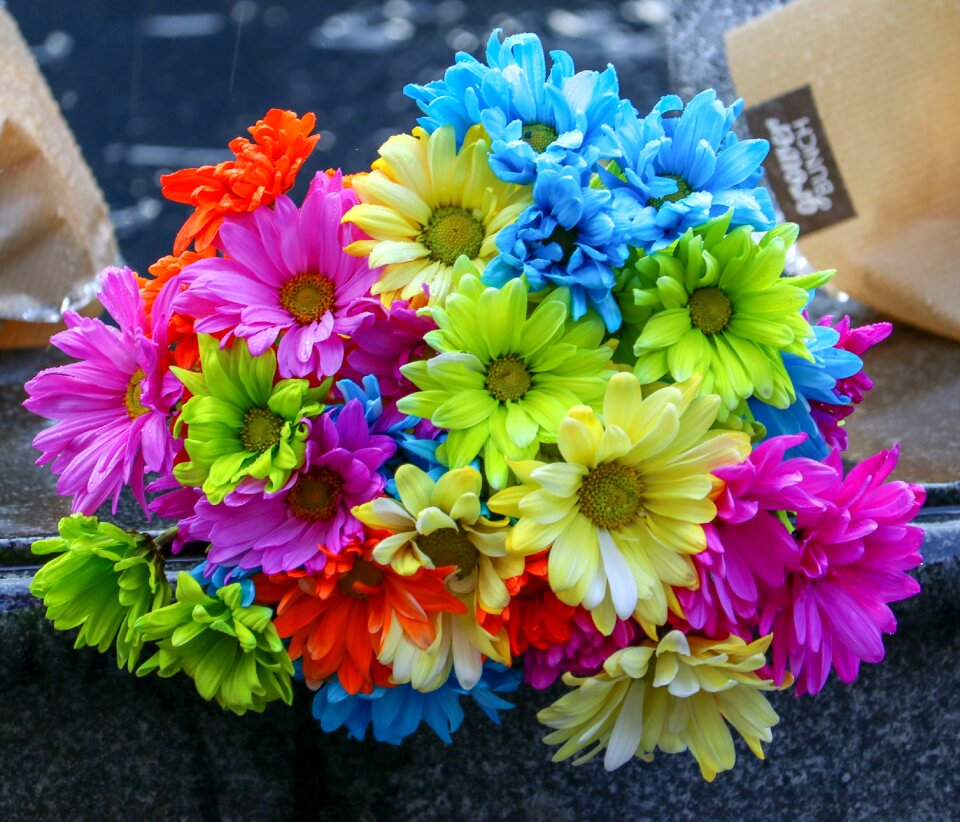 Bloom decorative petals