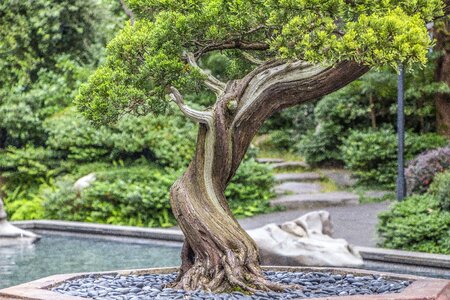 Potted plants lake landscape idyll outdoor photo