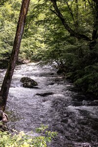 River nature scenic