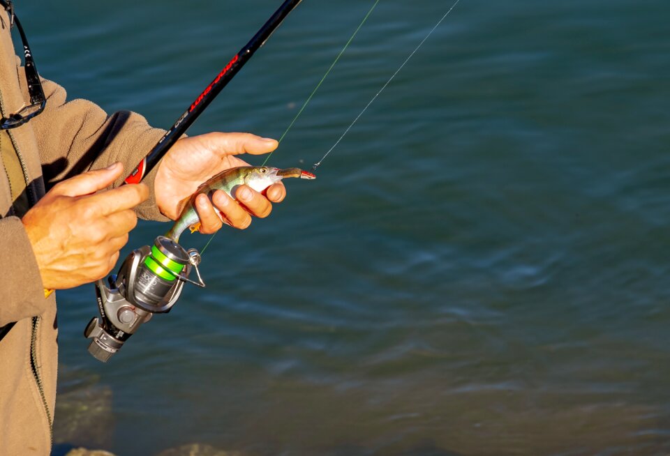 Person fishing rod fishhook