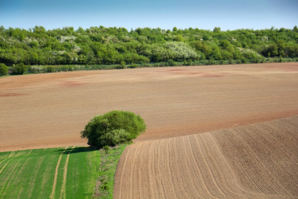 Panorama landscape field