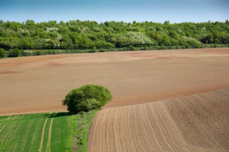 Panorama landscape field
