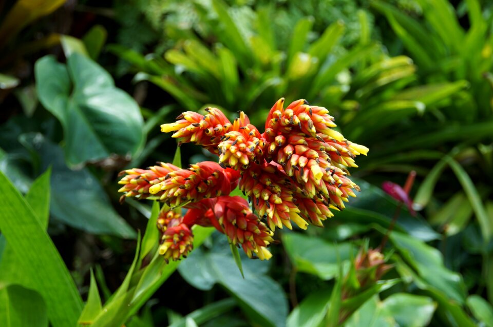 Bloom singapore glass house