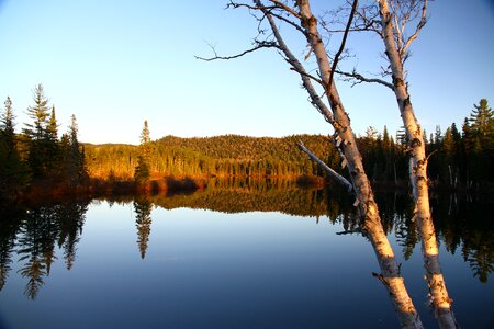 Landscape tranquility nature
