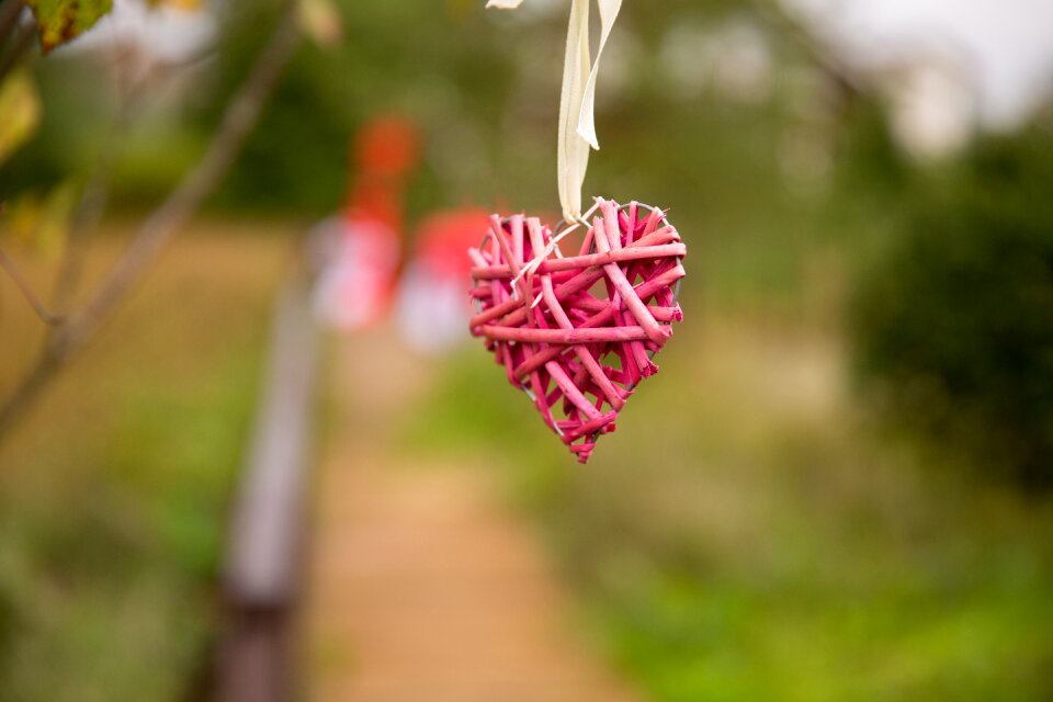 Decoration ribbon tree