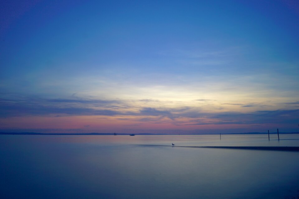 Landscape water waters