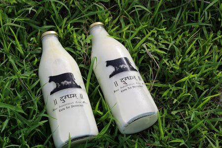 Bottle food healthy