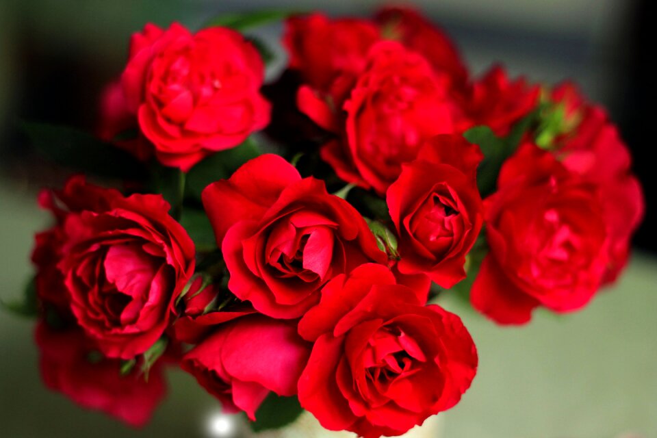 Nature beautiful flower bouquet