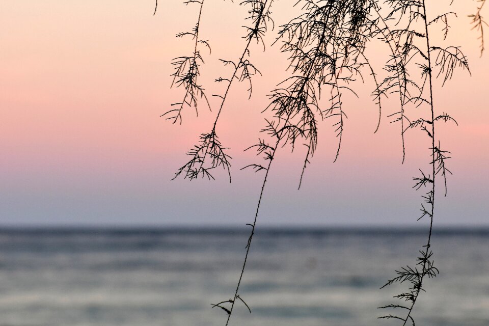 Sunrise summer water