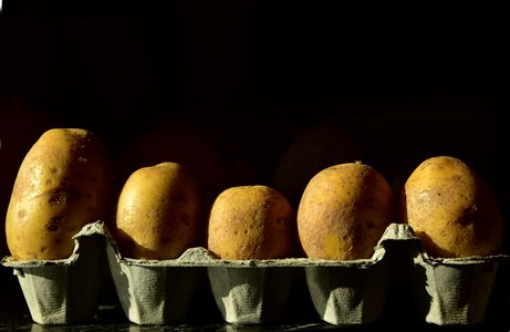 Cook egg false