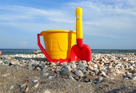 Toys sea shell