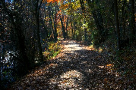 Colors bona dea trail