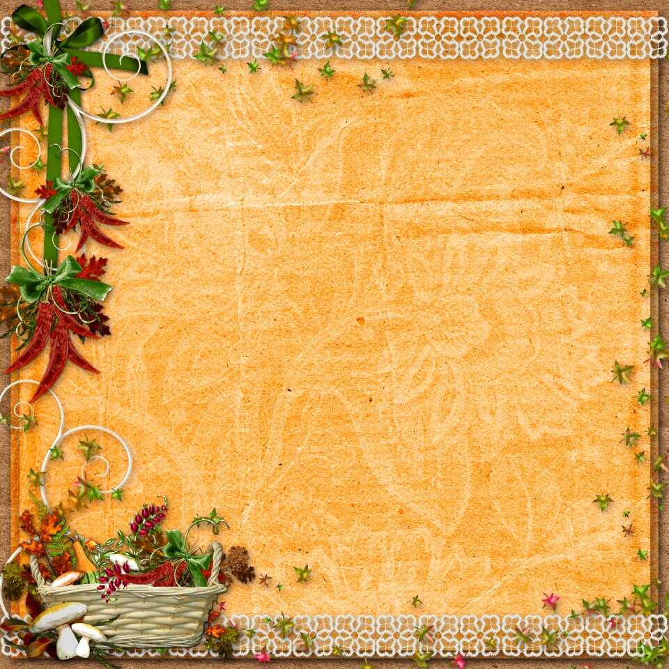 Background paper for photos