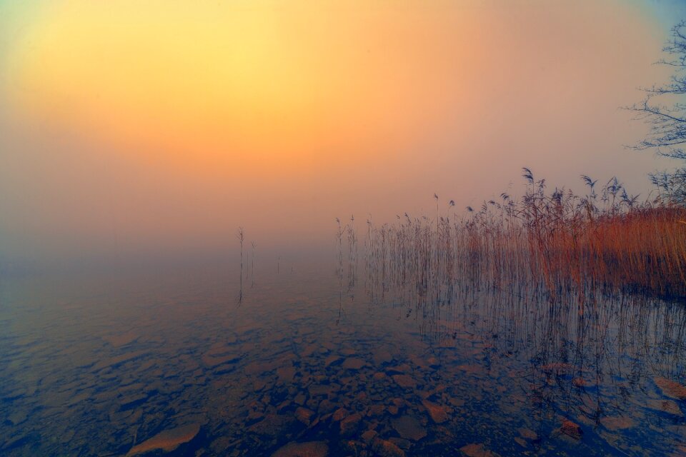 Bank water nature