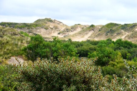 Hauts de france resort cucq