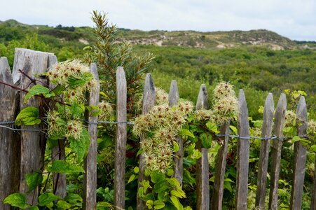 Hauts de france resort cucq