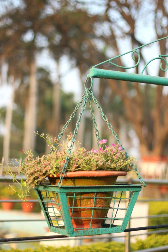 Mauryan pentool canon camera