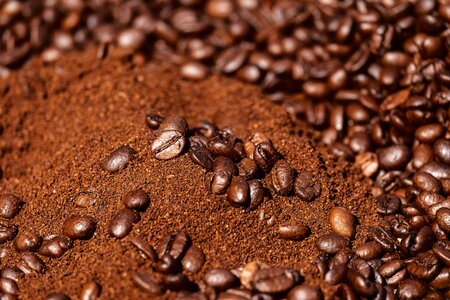 Caffeine ground ground coffee photo