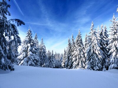 Winter blue sky photo