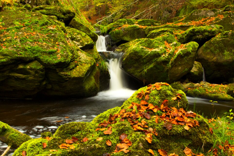 Water river landscape photo