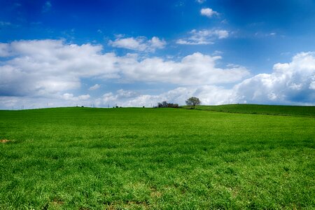 Blue sky green grass photo