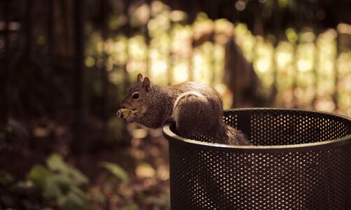 Park outdoors eating