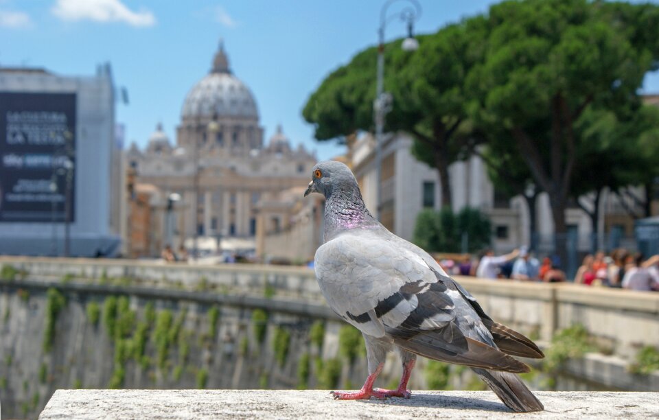 Nature architecture rome