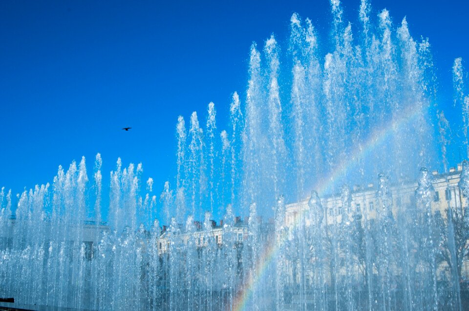 The colors of the rainbow pigeons spray